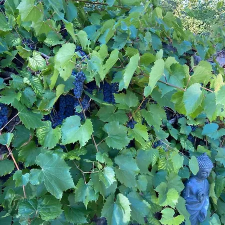 Dom wakacyjny Virolet Barn Queaux