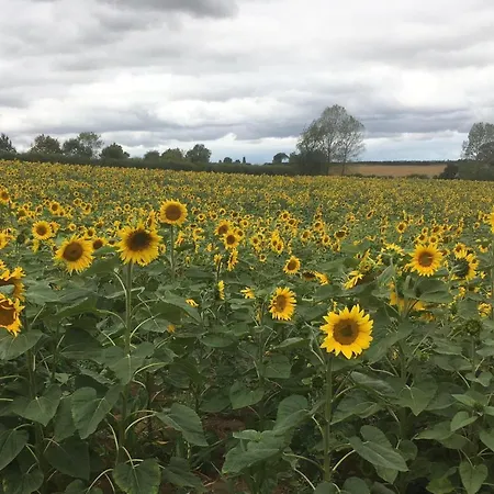 Dom wakacyjny Virolet Barn Queaux