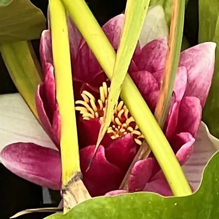 Dom wakacyjny Virolet Barn Queaux