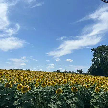 Virolet Barn Dom wakacyjny *