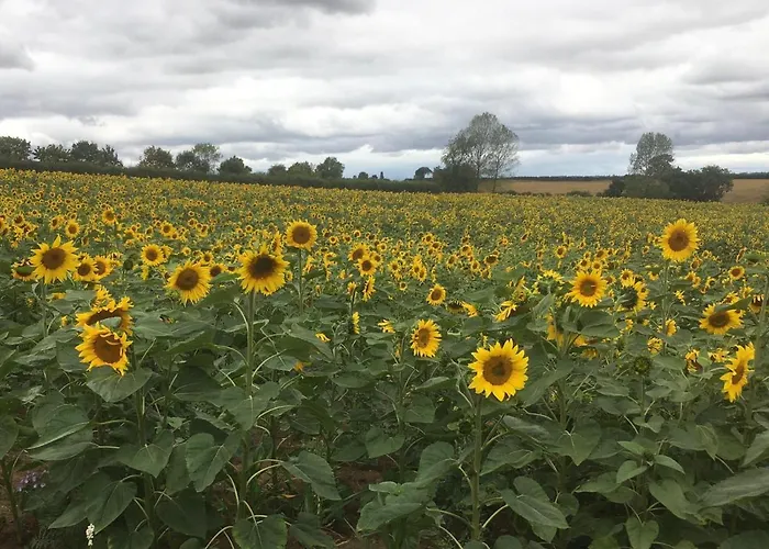 Дом отдыха Virolet Barn Queaux