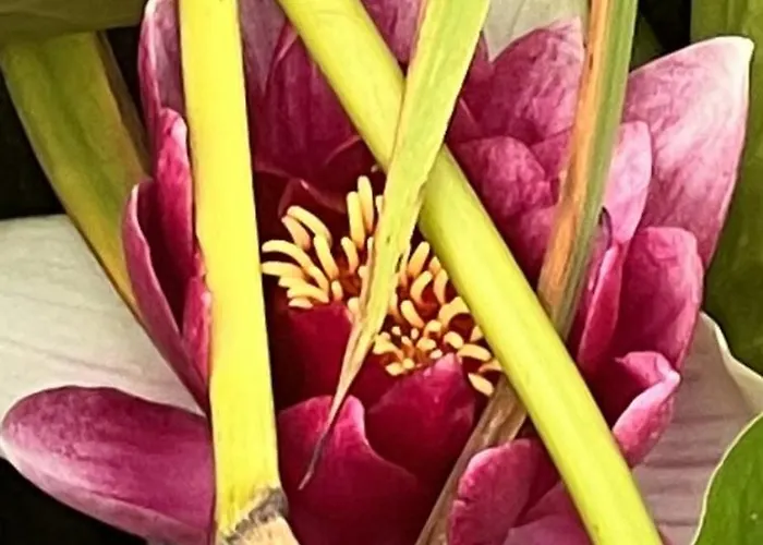 Дом отдыха Virolet Barn Queaux