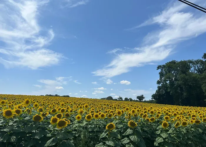 Virolet Barn Дом отдыха *