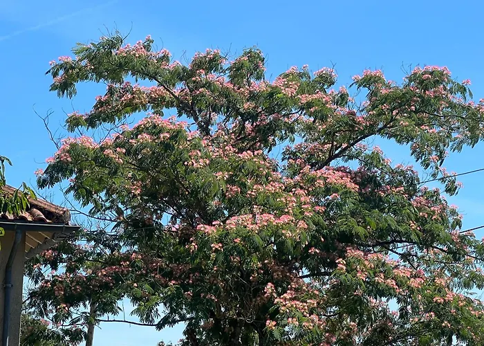 Дом отдыха Virolet Barn *